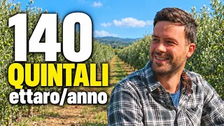 ULIVETO SUPERINTENSIVO: come gestirlo per produrre al massimo