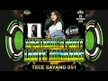 Download Lagu SPEKTAKULER PARTY LADYS JOMBANG TECE SAYANG 051. The Best Perfome DJ Ima Cencremen