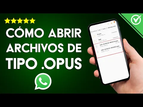 Download MP3 Cómo Abrir o Reproducir los Archivos .Opus de WhatsApp Fácilmente