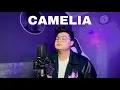 Download Lagu CAMELIA - TEGUH DA4 (COVER) Original by Rhoma Irama