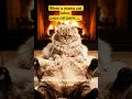 When a papa cat panic whileama cat labor a baby#furries #laborcat#catviralshorts