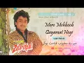 Download Lagu Mere Mehboob Qayamat Hogi   Light Remix - Zafar Iqbal - Vol. 2