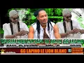 Lagu GG LAPINO LE LION 🦁 BLANC MIX-VOL(2)_BENIN_EMILDJWNA