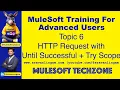 Topic 6 Using HTTP Request within Unti Successful Try Scope in sravanlingam