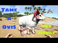 Taming Ovis How To Tame Ovis Ark Ultimate Survival Mobile Edition