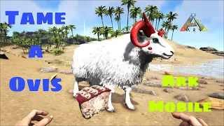 Taming Ovis How To Tame Ovis Ark Ultimate Survival Mobile Edition