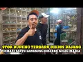Lagu KIOS BAJANG!!UPDATE HARGA DAN STOK BURUNG TERBARU DIPASAR BURUNG PRAMUKA HARI INI