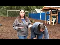 Dallas Pets Alive Kitsap Humane Society