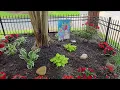 Premium Brown wood Mulch from Home Depot