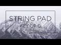 STRING PAD KEY OF D Bm for Backing Track