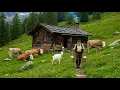 How do people live in Swiss Alpine villages The last Swiss shepherds