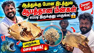 🎣🔥 “ஆக்கு எடுக்க போன இடத்துல ஆவத்தான மீன்கள் எப்படி இருக்குனு பாருங்க! 😱🐟”