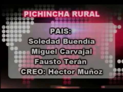 En Pichincha Alianza País logró 11 curules en la asamblea