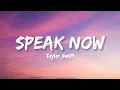 Download Lagu Speak Now - Taylor Swift (Lyrics)