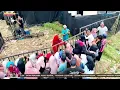 Download Lagu Belahan jiwa __ Evie Tamala #ellipsee music
