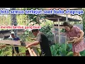 Download Lagu Udah Banyak Korbanya..jadi suami Terus Buat Hari Ini juga