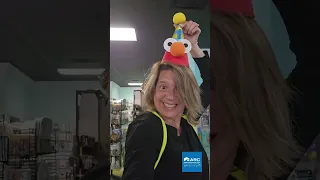 Shop Small Party Big Tell Us Tuesdays with Ali