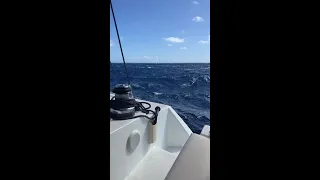 Night Sailing Experience #shorts