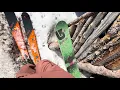 Skiing Monarch Pass Snow Stake Monarch Terrain Expansion Update and Scenic Tram Ride May 2025