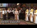 Download Lagu Mihaela Petrovici - Patruzeci de primaveri