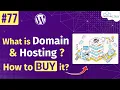 What is Domain and Hosting - How to Buy WordPress Tutorials