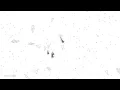 Java Basic Evolution Simulation