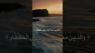 م ح م د ر س ول الل ه الشيخ الشحات محمد أنور 