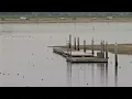 King Tides this weekend in San Diego will give a of rising oceans