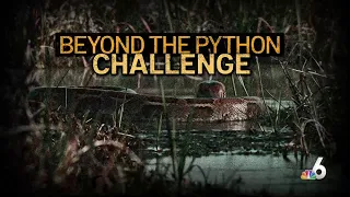 Beyond the Python Challenge What Happens to pythons after they re humanely euthanized