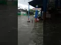 Download Lagu Siaga laut eretan ombak besar disertai banjir rob