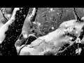 Download Lagu 蟲師 Original SoundTrack OST in 雪の森 [作業用 睡眠用BGM 蟲師OST Mushishi OST]