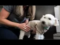 Fitwarm Turtleneck Knitted Dog Clothes Winter Outfits Pet Jumpsuits - REVIEW