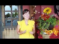 Guapo s Restaurant in Fair Lakes Fairfax VA 720p