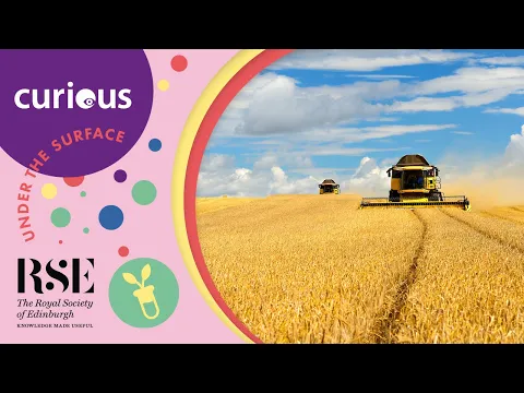 Barley: more than just a crop?
