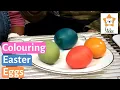 Colouring Easter Eggs with Kids How to Dye Easter Eggs with Food Colouring