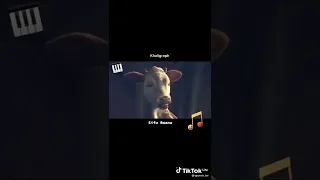 Sifu Bwana Daima Moyo Wangu 