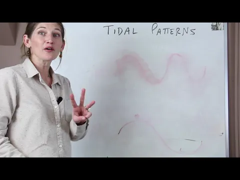 Tidal Patterns