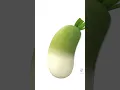 Download Lagu mình là cây xúc xích, mình là củ cà hai,mình là cục c**chó 😂