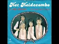 Download Lagu Het Heidecombo - In mijn dromen - 1980.