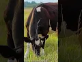 The Mindblowing Waggoner Ranch in Texas