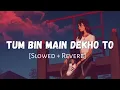 Lagu Tum bin me Dekho to(slowed-Reverb)sad