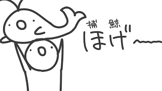 徹底的にﾃｯﾃﾃｰ