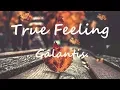 Download Lagu Galantis - True Feeling (Lyrics/Lyric Video)