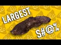 THE LARGEST FOSSILIZED HUMAN TURD EVER FOUND