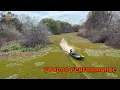 Gatortail With Voodoo Exhaust 4K