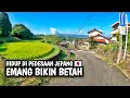 Lagu BIKIN BETAH ‼️hidup di pedesaan jepang emang bener bener bikin betah