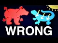 There s No Such Thing As Warm- Or Cold- Blooded