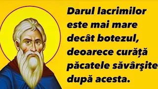  nv turi duhovnice ti sf ntul cuvios ioan sc rarul cuvinte pline de har citate celebre 82 
