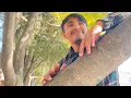 Download Lagu ||Aago Bina Bidi jaldaina-Jhingeydau ll Movie song
