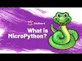 What is MicroPython Introduction to MicroPython STEM Education for kids